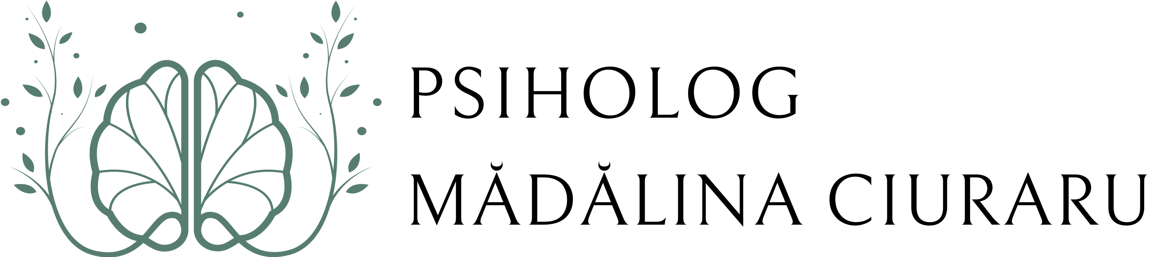 Logo cabinet examinare si rapoarte sector 1 Bucuresti